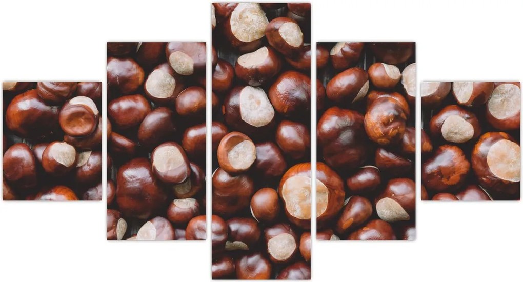Obraz - Dojrzałe kasztany (125x70 cm)