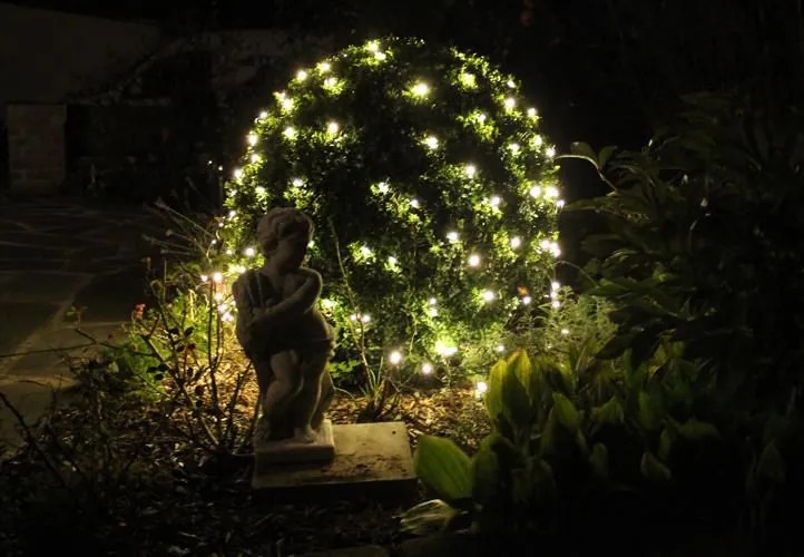 diLED świetlna sieć - 100 LED, biała ciepła