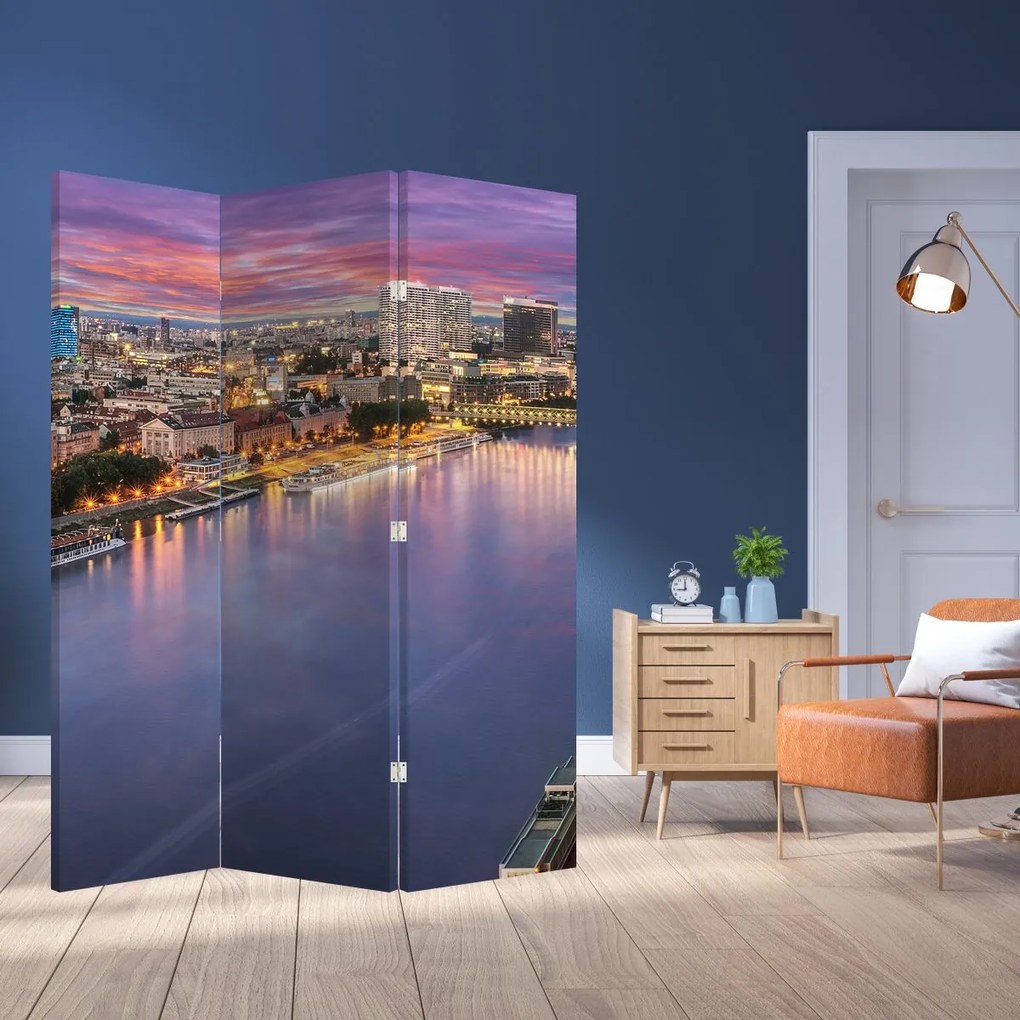 Parawan - Nocne miasto Bratysława z rzeką (126x170 cm)