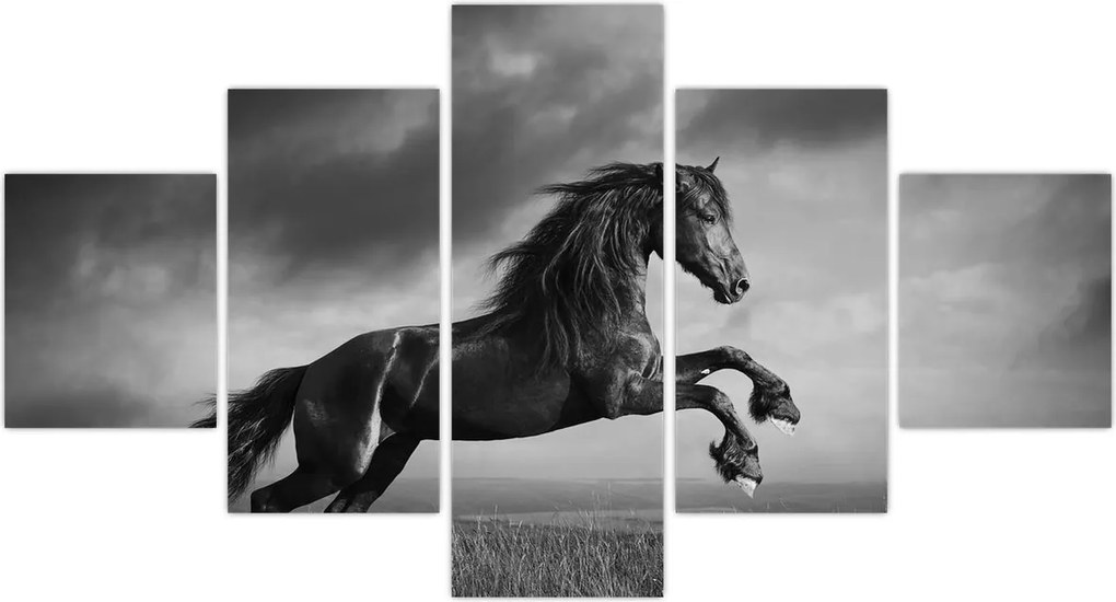 Obraz - Czarny i biały koń (125x70 cm)