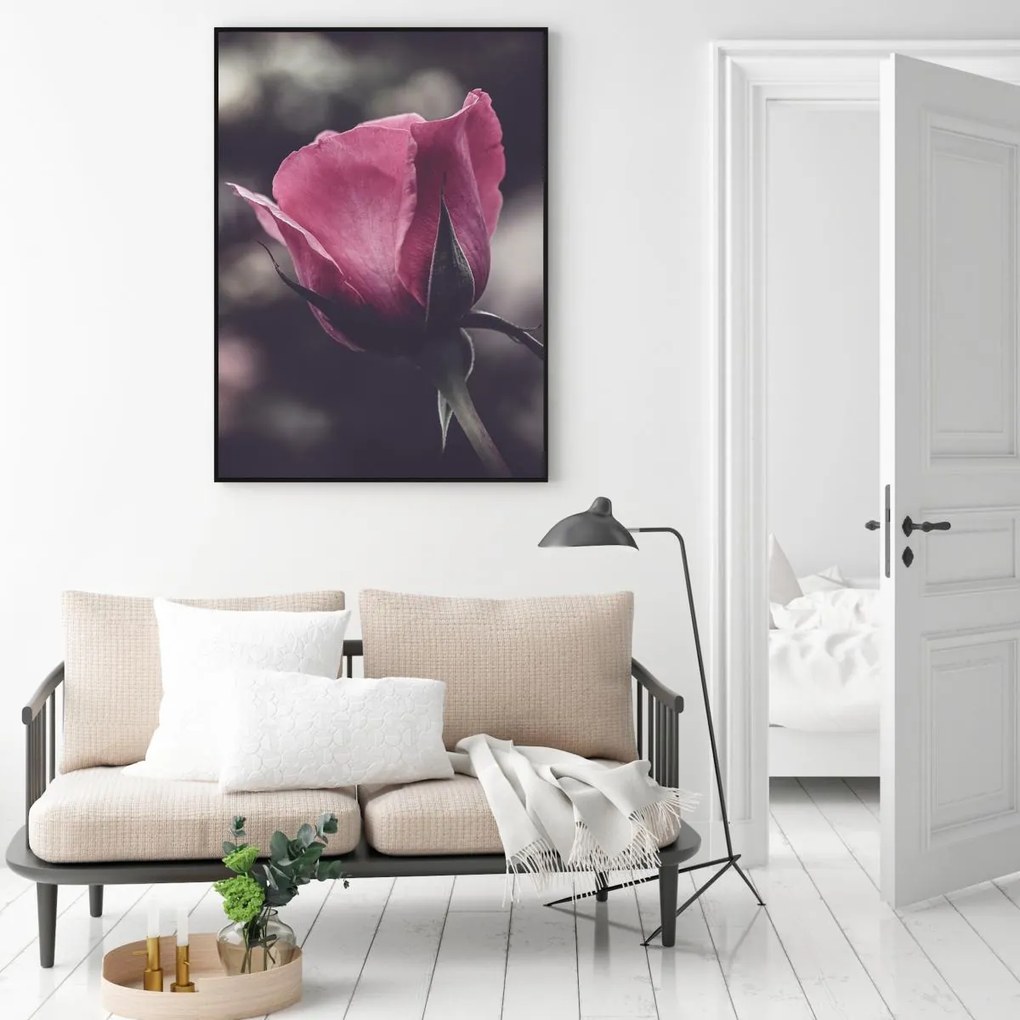 Plakat - Kwiat róży (A4)