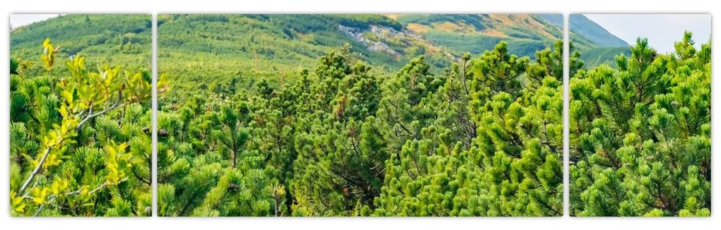 Obraz - Babia Góra, Polska (170x50 cm)