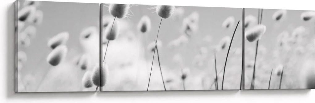 Obraz - Trawa z ogonkiem króliczka Boho (170x50 cm)