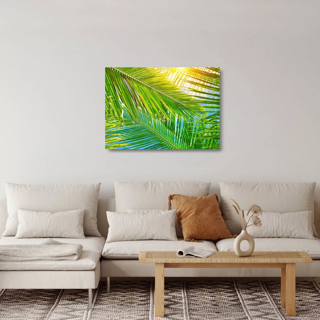 Obraz na szkle - Liście palmowe (70x50 cm)