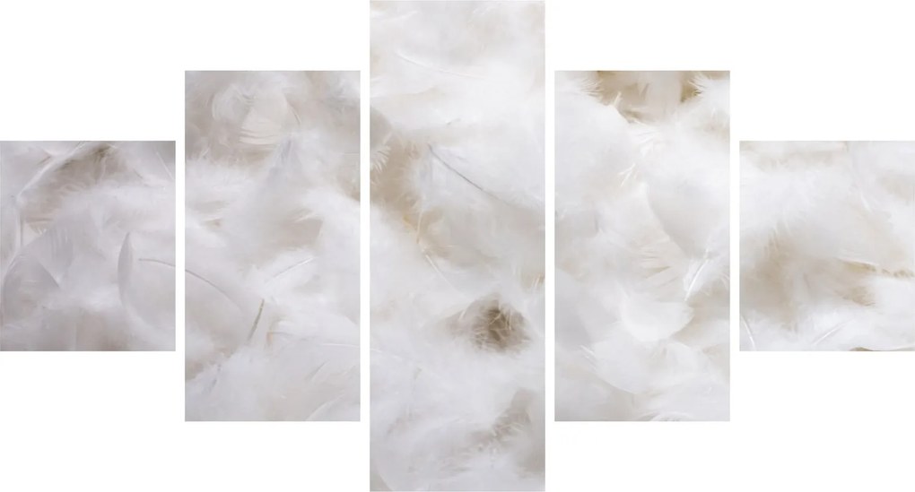 Obraz - Białe pióra (125x70 cm)