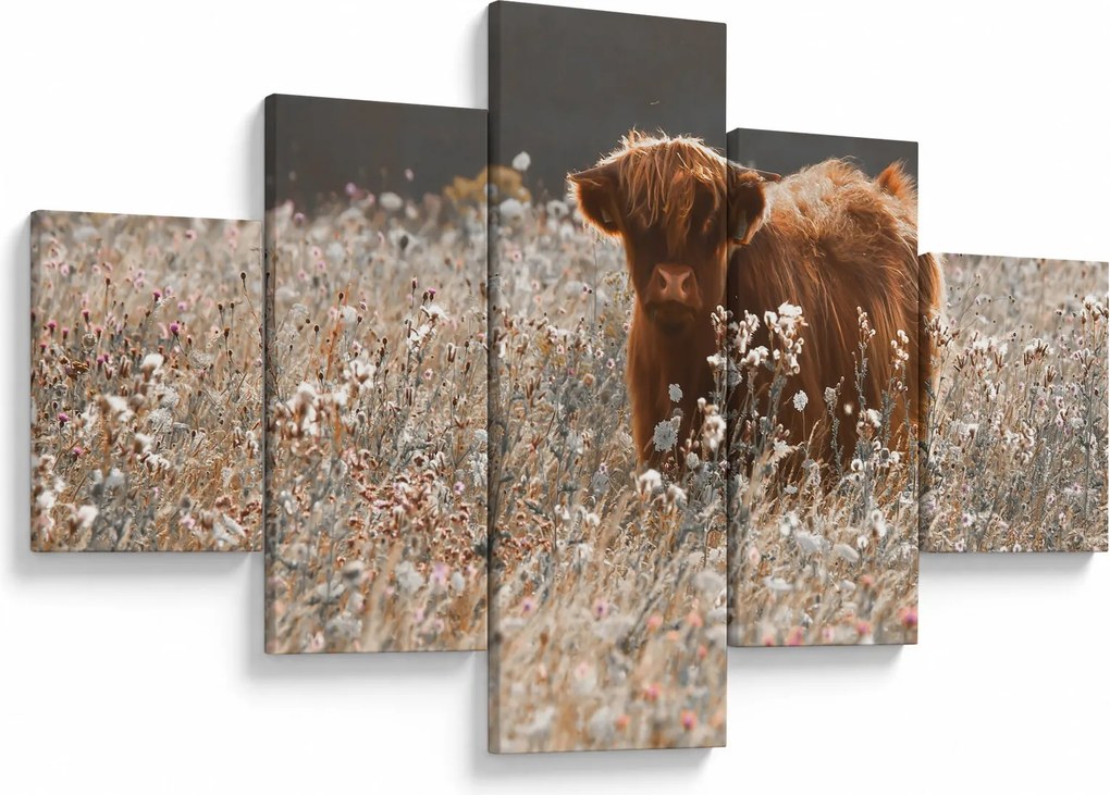 Obraz - Szkocka krowa w kwiatach (125x70 cm)