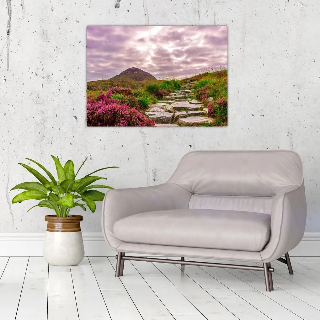 Obraz na szkle krajobrazu (70x50 cm)