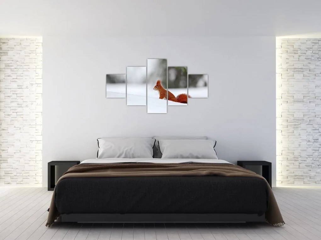 Obraz wiewiórki (125x70 cm)