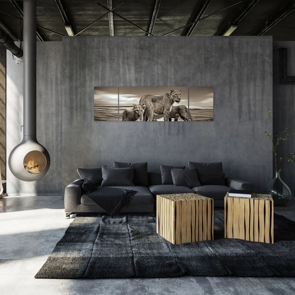 Obraz czarno - białych lwów (170x50 cm)