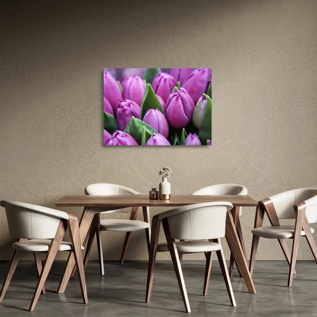 Obraz na szkle - kwiaty tulipanów (70x50 cm)