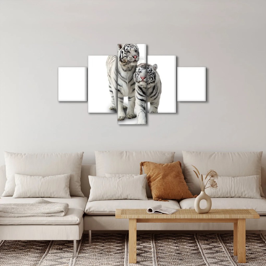 Obraz - Biały Tygrys (125x70 cm)