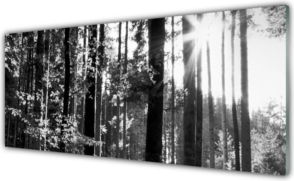 Panel Kuchenny Zielone Serce Lasu