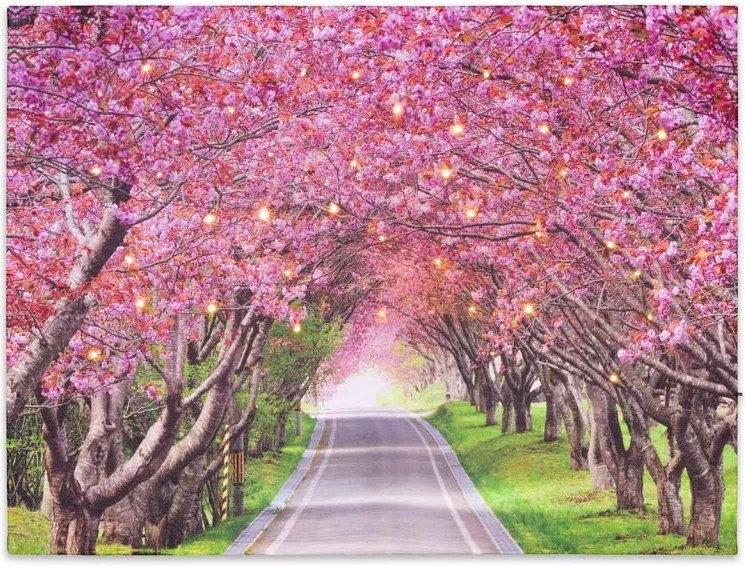 Obraz ścienny przedstawiający kwitnącą aleję drzew, 40 diod
