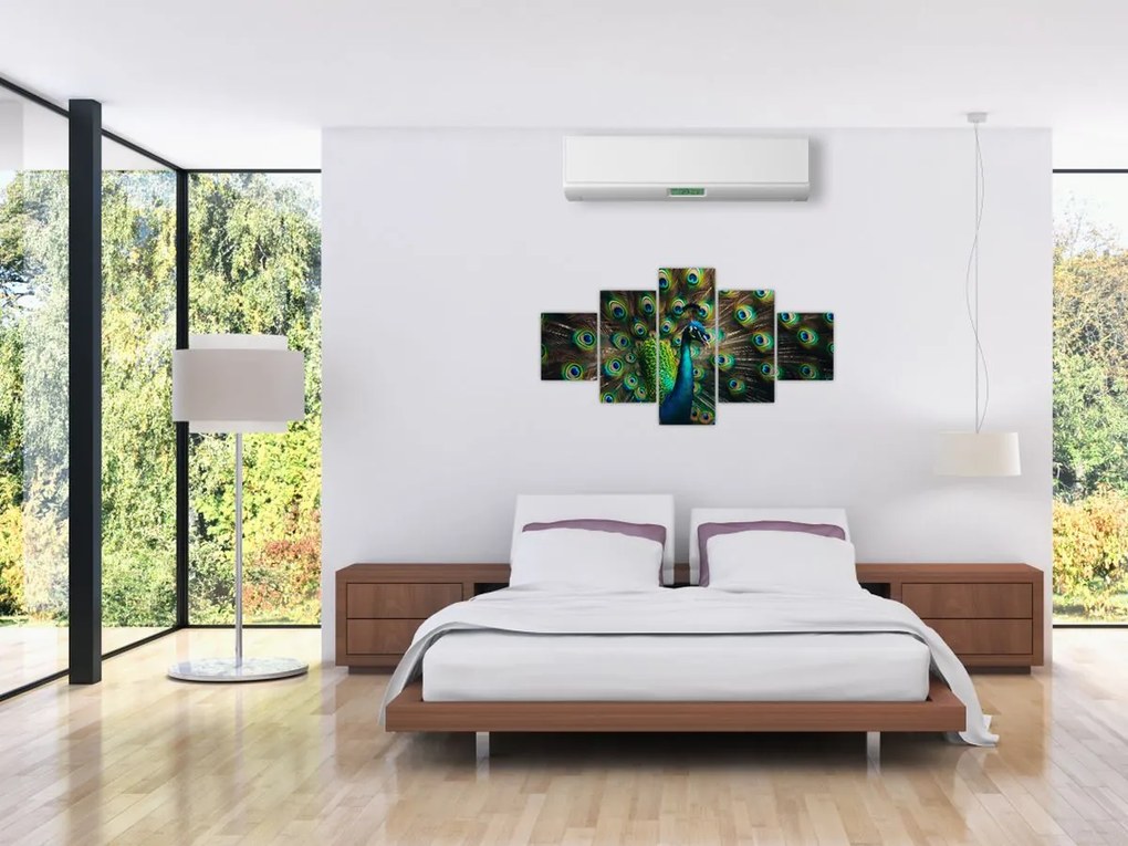 Obraz – Paw (125x70 cm)