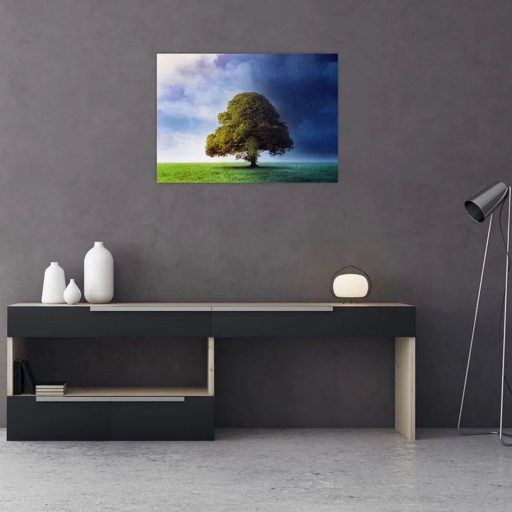 Obraz - Dzień i noc (70x50 cm)
