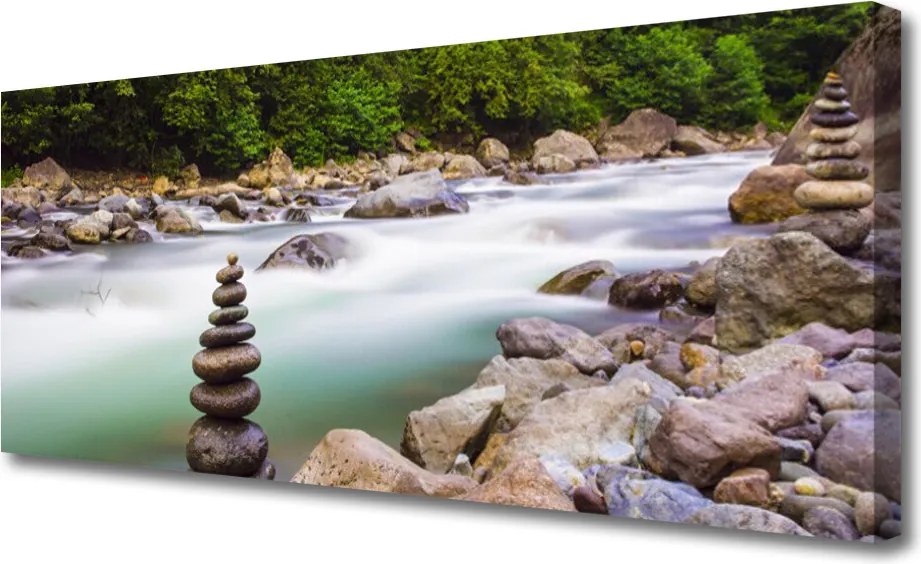 Obraz canvas Dziki Potok w Górskim Lesie