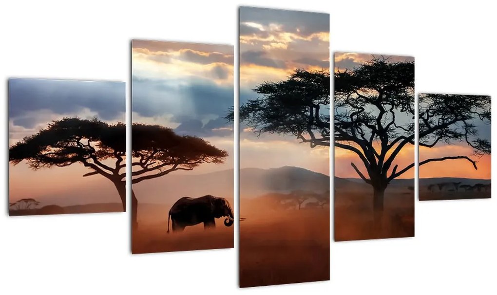 Obraz - Park Narodowy Serengeti, Tanzania, Afryka (125x70 cm)