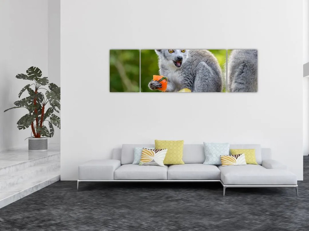 Obraz lemura (170x50 cm)