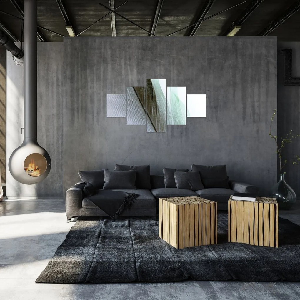 Obraz - Pióra, makro (125x70 cm)
