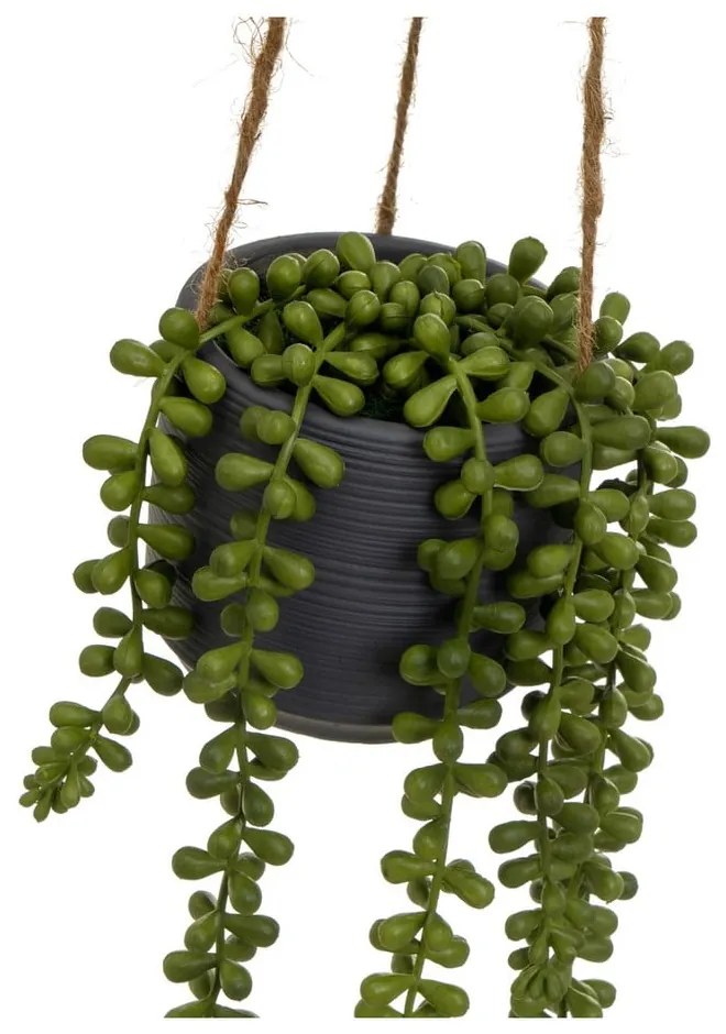 Sztuczna roślina (wysokość 37 cm) Senecio – Casa Selección