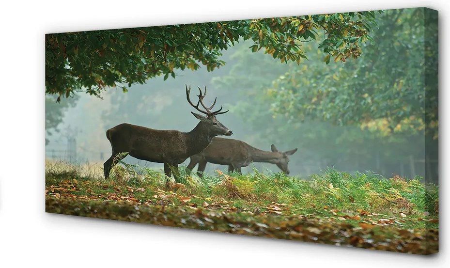 Fotoobraz na płótnie Jeleń w Jesiennym Lesie