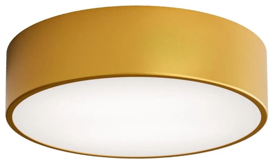 Brilagi - Lampa sufitowa CLARE 2xE27/40W/230V śr. 30 cm złota