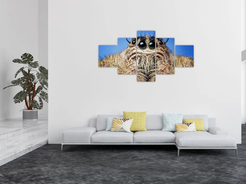 Obraz szczegółu pająka (125x70 cm)