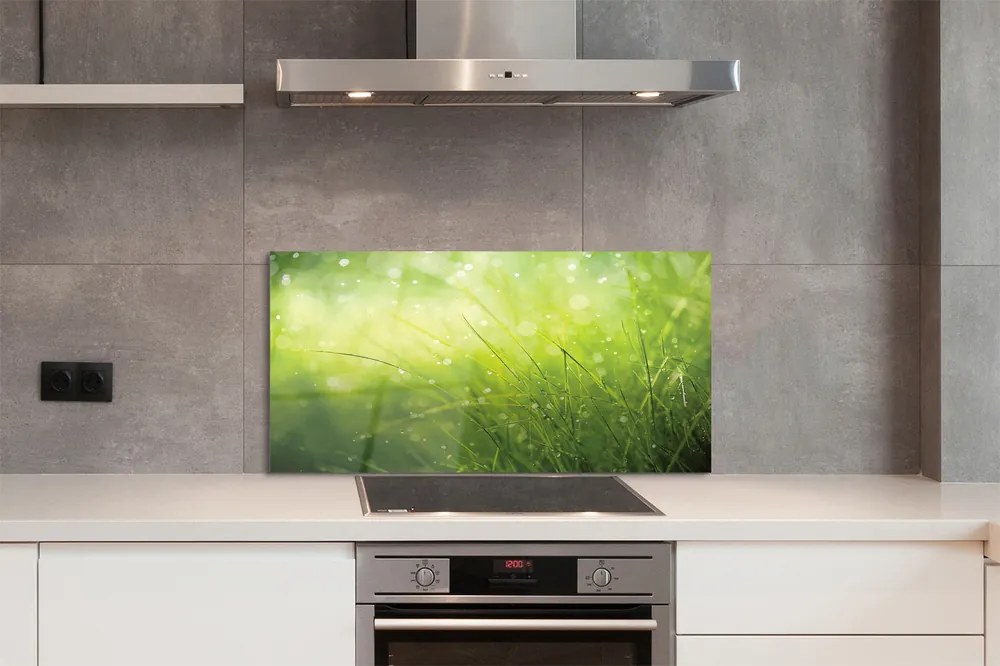 Szklany Panel Świeżość Rosy na Trawie