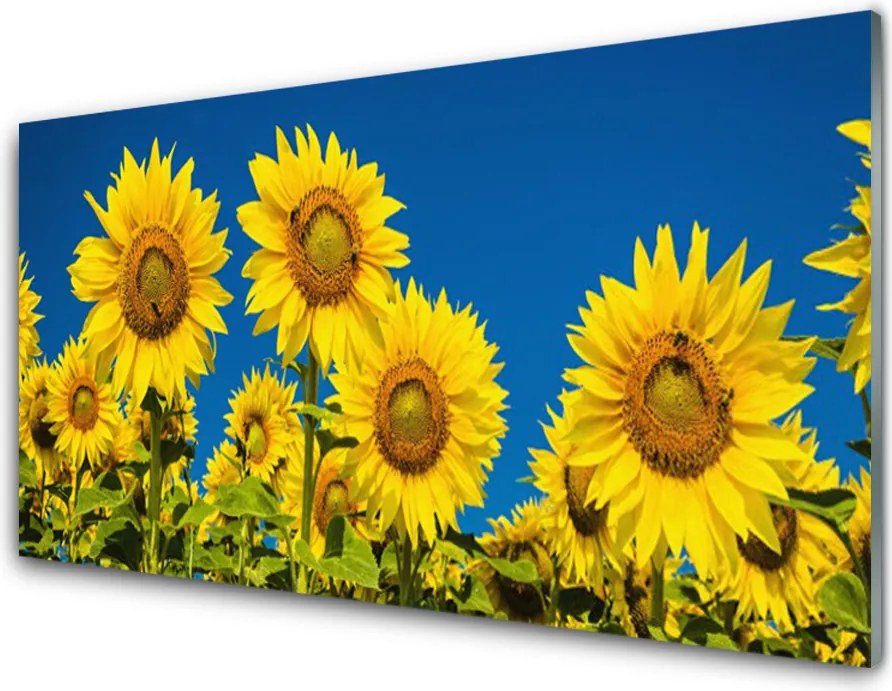 Szkło do Kuchni na Ścianę Radosne Pole Słoneczników