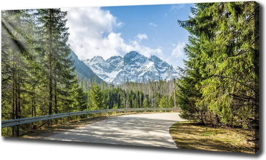 Foto obraz canvas Droga Tatry