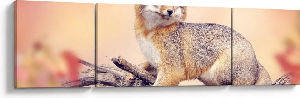 Obraz - Lis (170x50 cm)