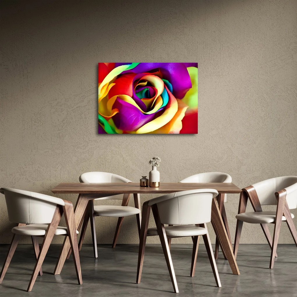 Obraz - Kolorowa róża (70x50 cm)