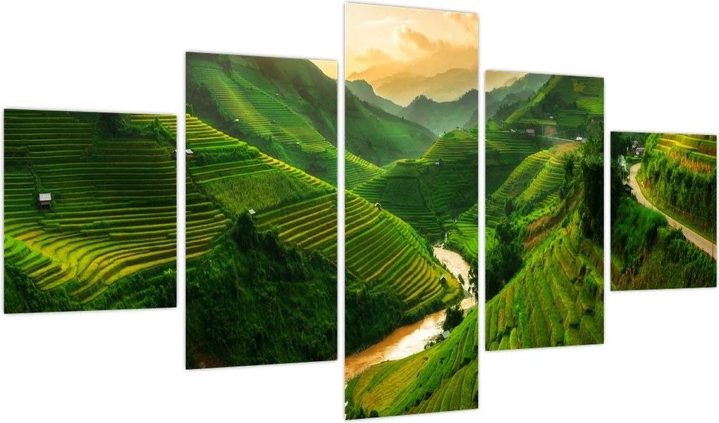 Obraz - Tarasy ryżowe Mu Cang Chai (125x70 cm)