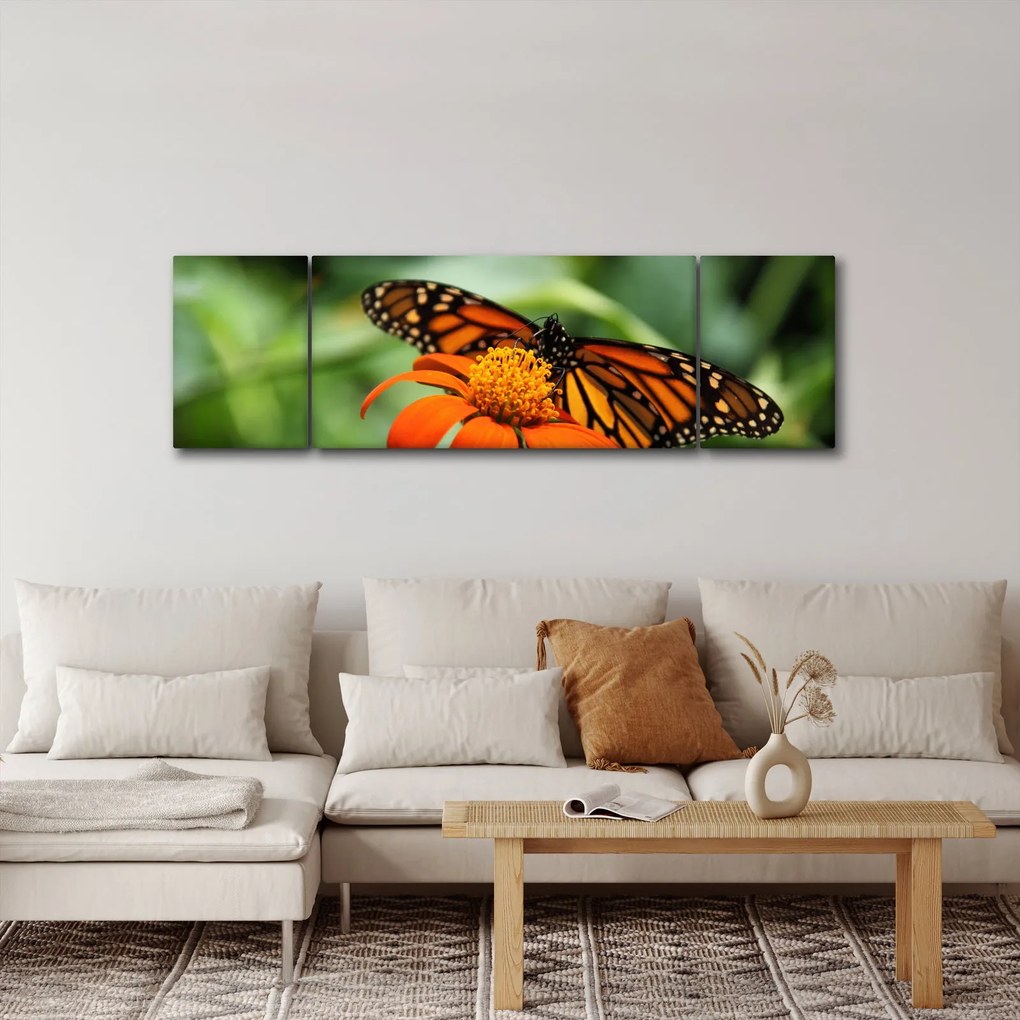 Obraz motyla na kwiatku (170x50 cm)