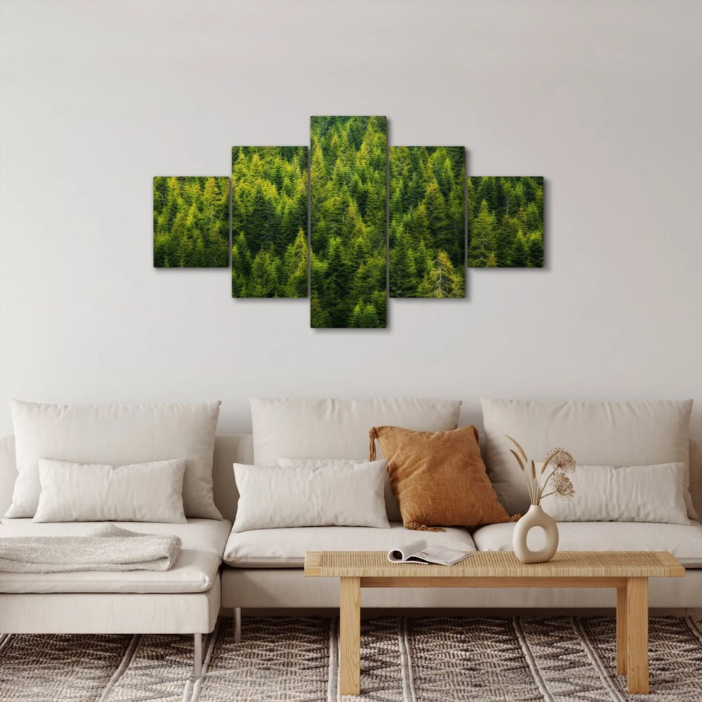 Obraz - Gęsty las (125x70 cm)