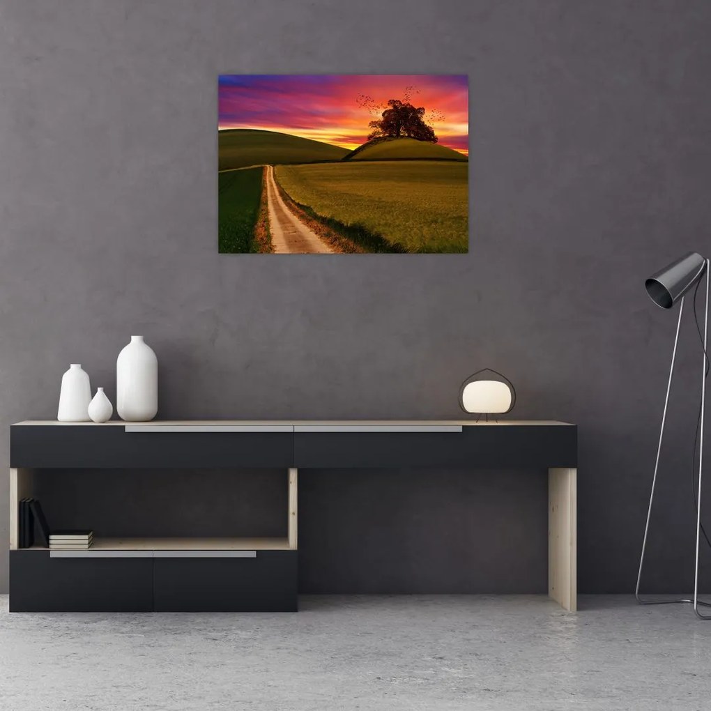 Obraz pola z zachodem słońca (70x50 cm)