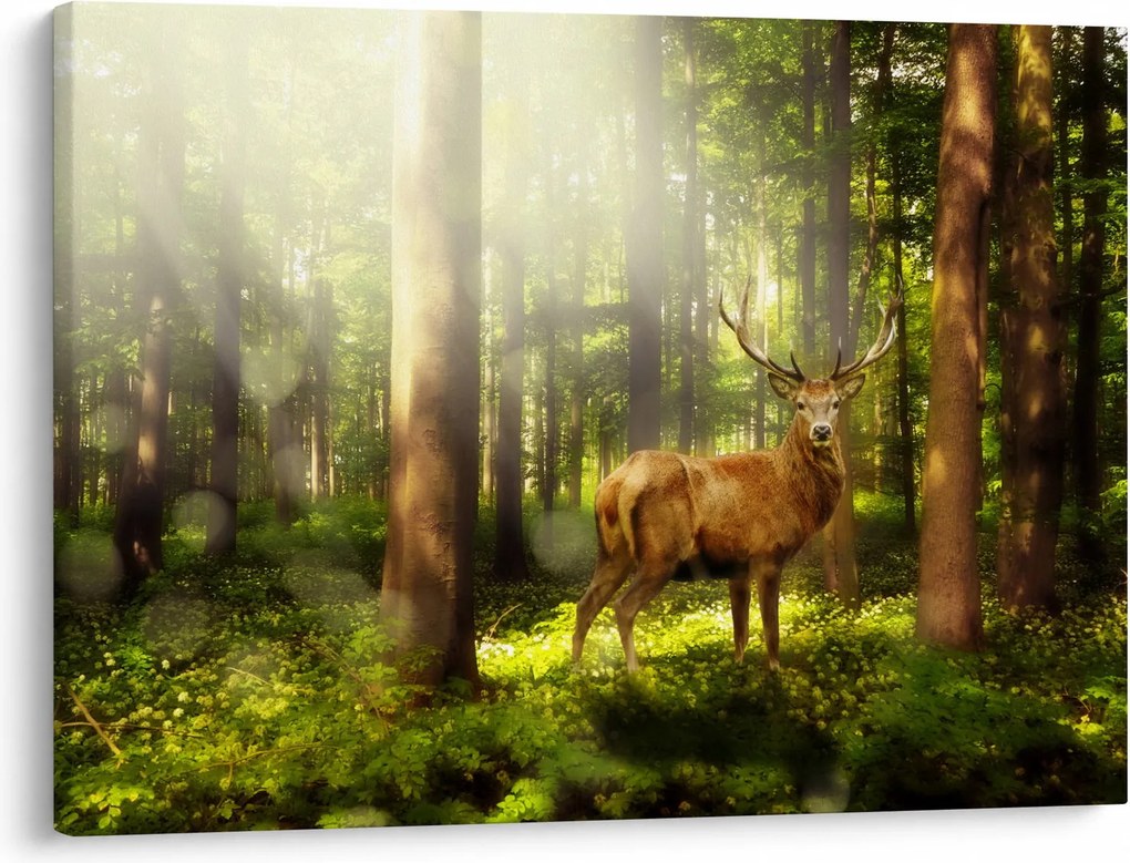 Obraz jelenia w lesie (70x50 cm)