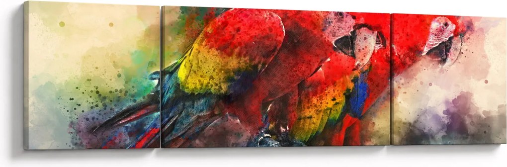 Obraz czerwonych papug Ara (170x50 cm)