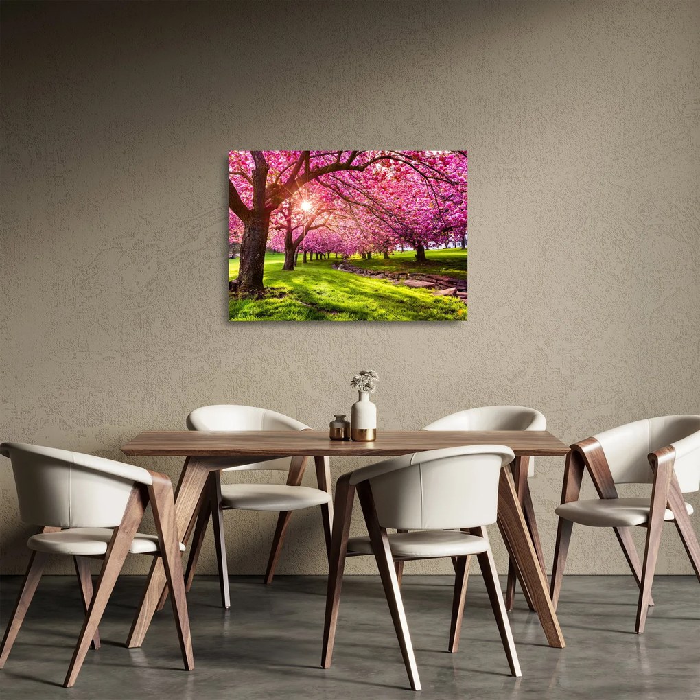 Obraz na szkle kwitnących czereśni, Hurd Park, Dover, New Jersey (70x50 cm)