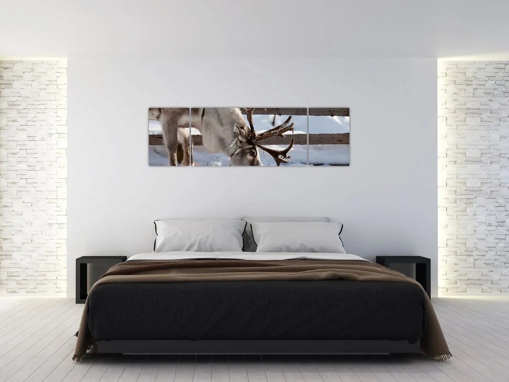 Obraz - Sat (170x50 cm)