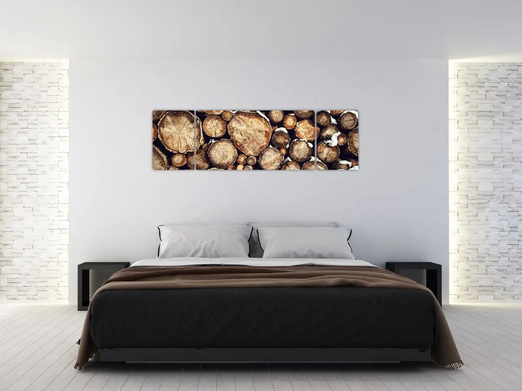 Obraz - Drewno w śniegu (170x50 cm)