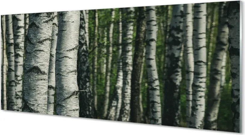 Panel szklany do Kuchni Białe Pnie Brzóz