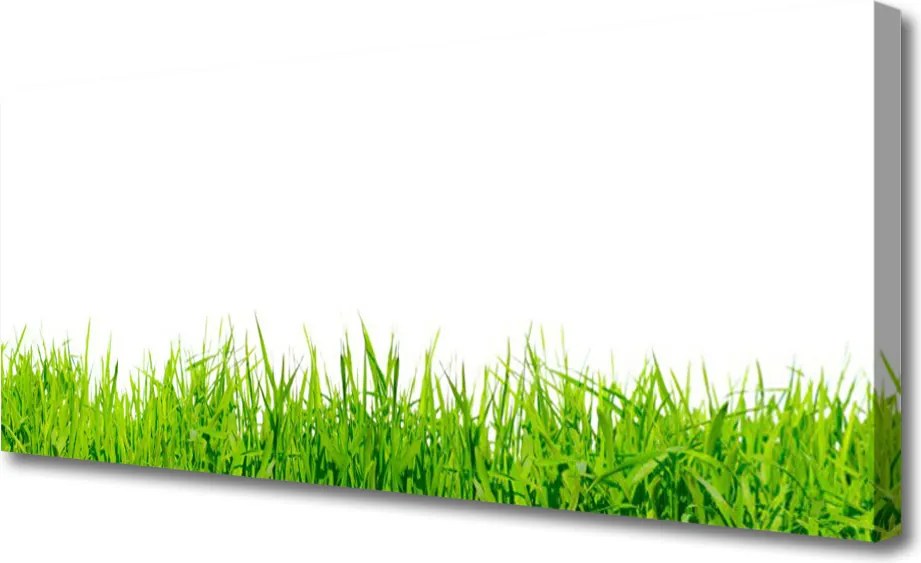 Obraz na płótnie Soczysta Zielona Polana