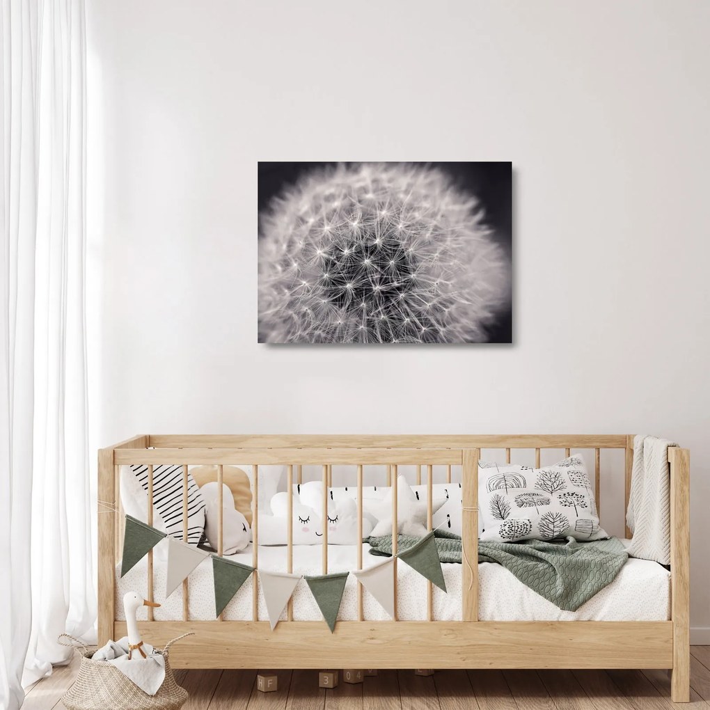 Obraz na szkle dmuchawca (70x50 cm)