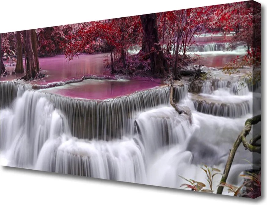 Obraz na płótnie Wodospad w Ukrytym Lesie