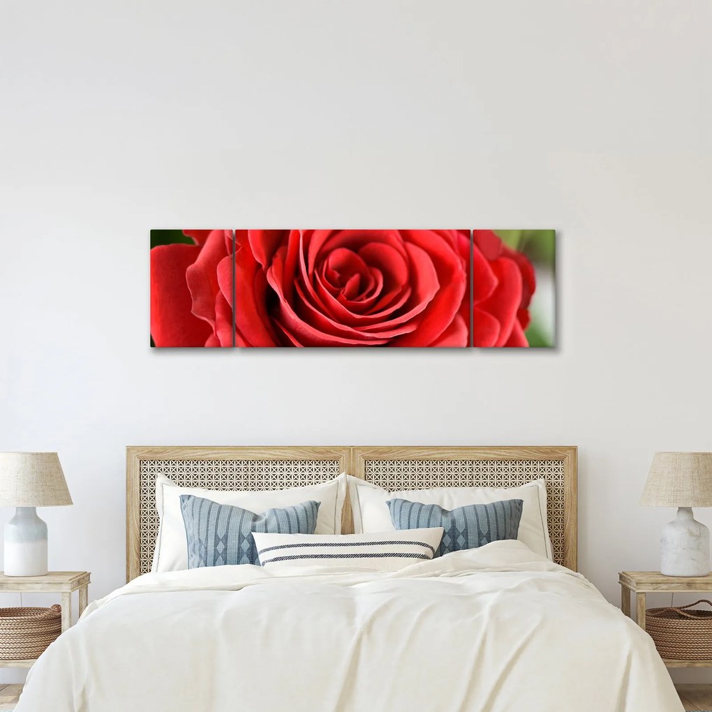 Obraz kwiatu róży (170x50 cm)