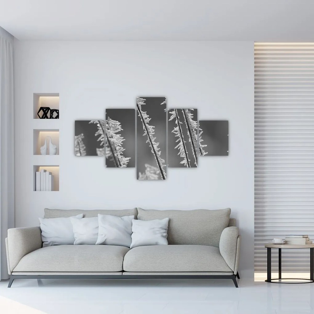 Obraz - Mroźne zimno (125x70 cm)