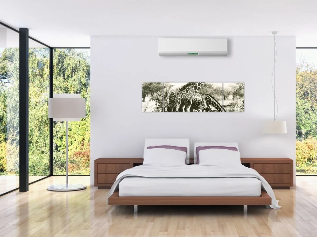 Obraz - Żyrafy, vintage (170x50 cm)