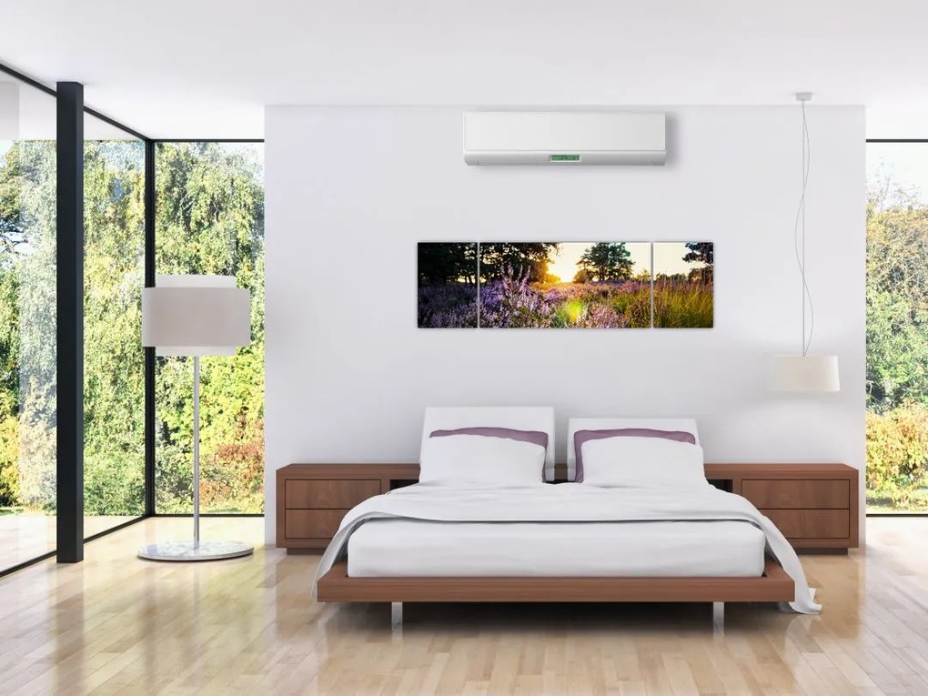 Obraz pola lawendy (170x50 cm)