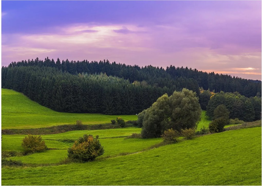 Obraz na szkle - łąka (70x50 cm)